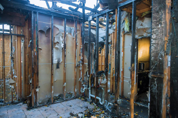 Professional Soot Cleanup technician working in Willow Grove, TX